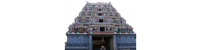 வதாரண்யேசுவரர்